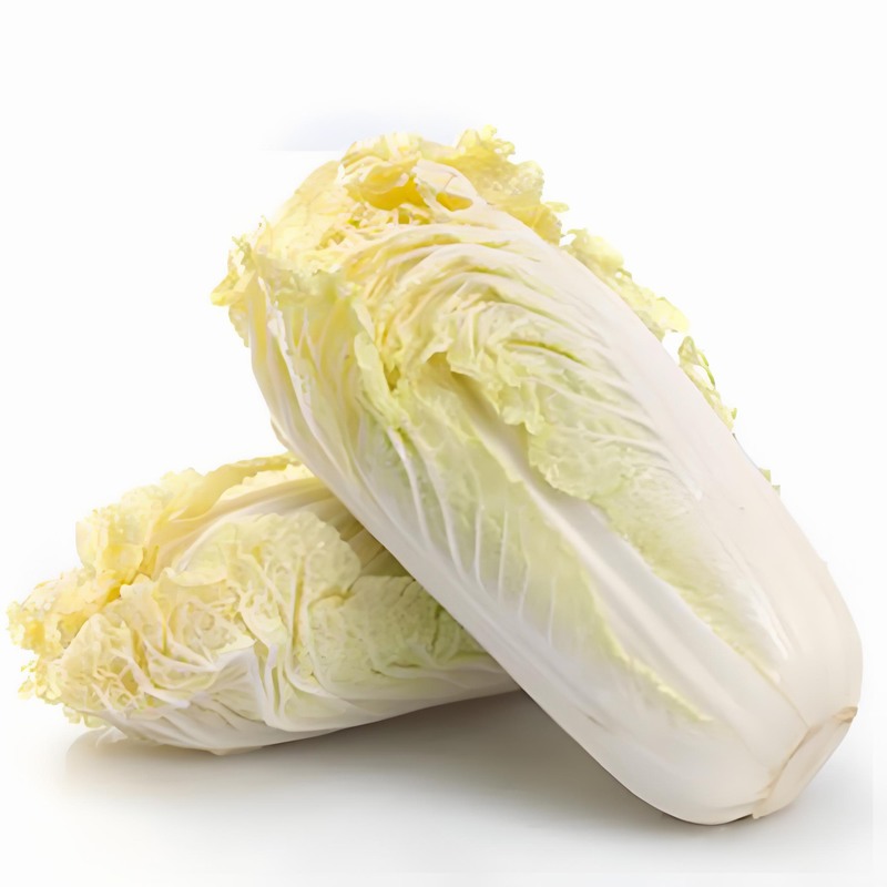 “春癢”難耐 對皮膚病說不要早春